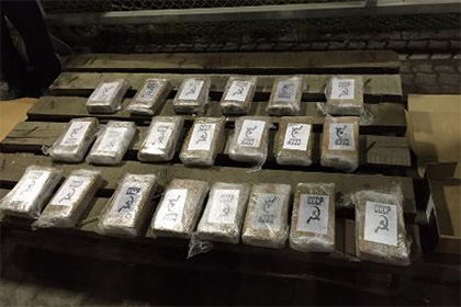 Более 20 килограммов кокаина найдено в прибывшей в Петербург партии рыбы