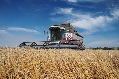 Минсельхоз попросил правительство отменить пошлину на пшеницу
