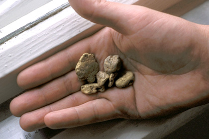 Найдено древнейшее в мире золото