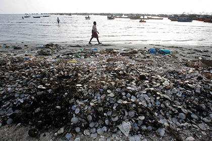 ООН примет участие в уборке мусора на индийских пляжах
