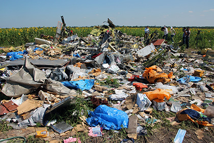 Стала известна дата объявления результатов следствия по падению MH17 в Донбассе
