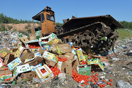 В России за год уничтожили 7 тысяч тонн санкционной еды