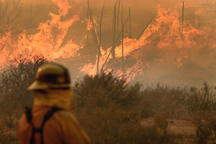 Власти Калифорнии приказали эвакуировать 82 тысячи жителей из-за пожаров