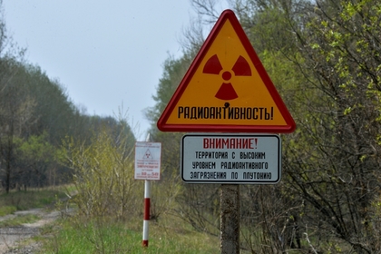 Киеву напомнили о возможности закапывать ядерное топливо возле Чернобыля
