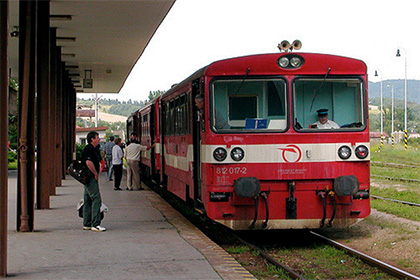 Словацкий парламент запретил ультраправые патрули в поездах