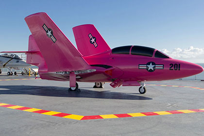 В США истребитель выкрасили в розовый цвет