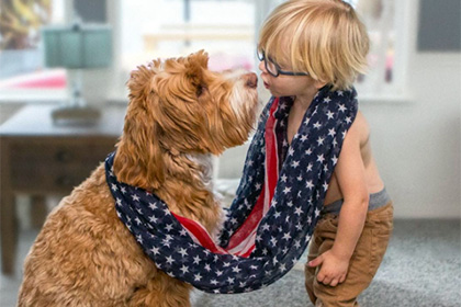 Дружба трехлетнего мальчика и пса прославила их в сети