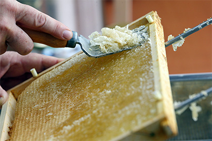 Роскачество выявило некачественный мед