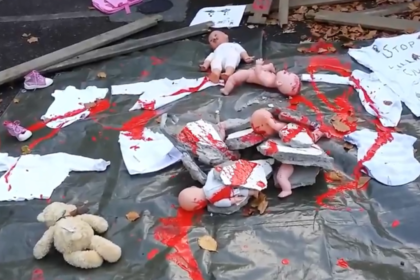 У российского посольства в Дублине разбросали «окровавленных младенцев»