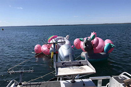 Поклонниц Instagram унесло в открытое море на надувных фламинго