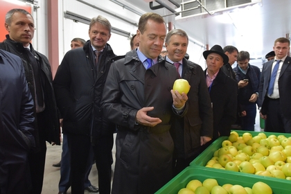 Медведев призвал российских фермеров использовать санкции в своих интересах