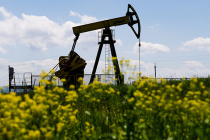 Новак поверил в рост цен на нефть до 60 долларов