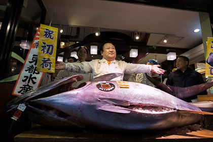 В Японии продали второго по стоимости тунца с начала XXI века