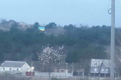 Ислямов сообщил о вывешенном над Симферополем украинском флаге