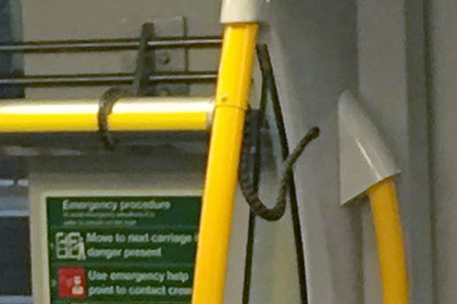 В Австралии змея прокатилась на пассажирском поезде зайцем