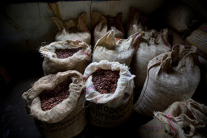 Беспорядки в Кот-д’Ивуаре подняли цены на какао