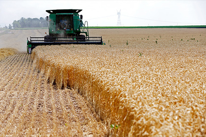 Bloomberg предсказало России потерю статуса мирового лидера по экспорту пшеницы