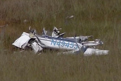 Пилота упавшего в болото самолета съел аллигатор