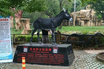 В Китае брошенному на съедение тиграм ослу возвели памятник