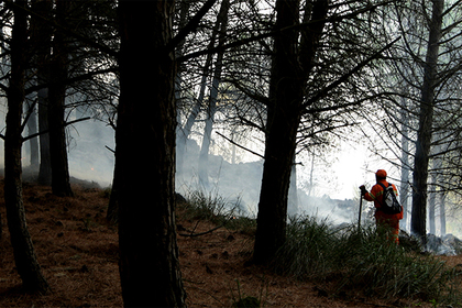 На Сицилии разоблачили поджигавших лес ради наживы добровольцев