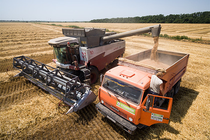 Ткачев спрогнозировал рекордный экспорта зерна