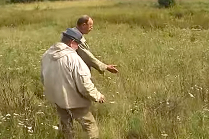 В белорусской деревне пожаловались на нашествие российских медведей
