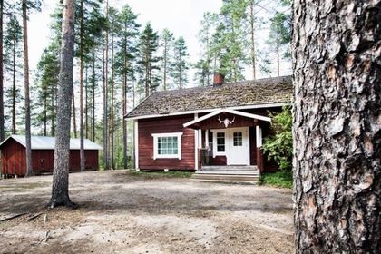 В Финляндии пропали приехавшие собирать ягоды украинцы