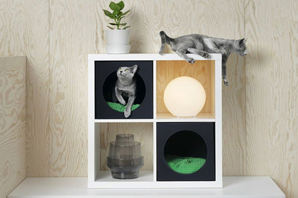 IKEA занялась мебелью для котов