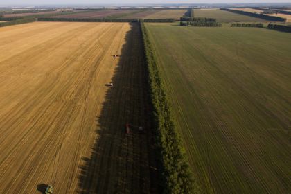 Путин предрек рекордный за всю историю урожай зерна