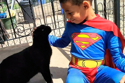 Пятилетний мальчик в костюме супергероя научился укрощать бродячих котов