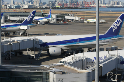 Собака задержала 14 рейсов в токийском аэропорту Ханэда
