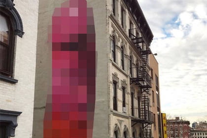 К Рождеству нью-йоркский дом украсили гигантским пенисом