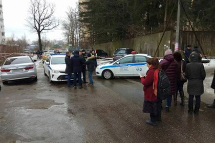 Житель Подмосковья открыл стрельбу из-за упавшего дерева