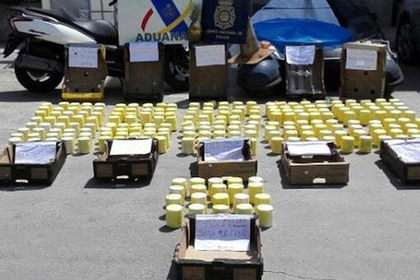 Почти тонну кокаиновых ананасов изъяли в Испании