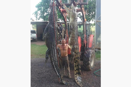 Австралиец поймал живьем двух огромных крокодилов с клыками величиной с ладонь