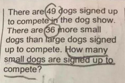 Детская задачка о собаках поставила родителей в тупик