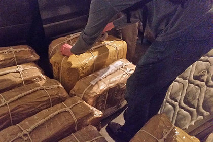 Названа цель вбросов на тему кокаина в российском посольстве в Аргентине