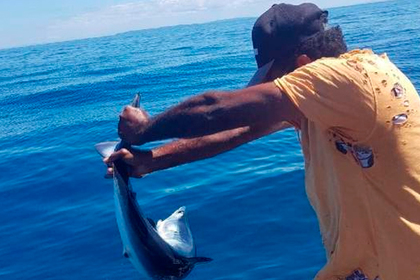 Рыбак заборол акулу после кражи его добычи
