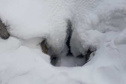 Сибиряки два года рыли подкоп к нефтепроводу и попались за три метра до цели