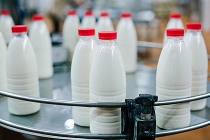 Россия и Белоруссия доверят цены на молоко одному трейдеру