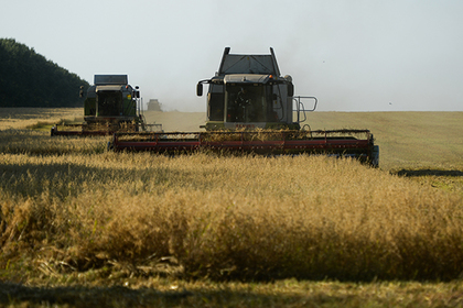 Россия не справилась с рекордным урожаем зерна