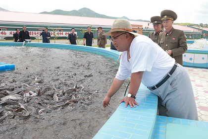 Ким Чен Ын посмотрел на сомов на «невиданной ферме»