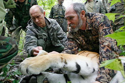 Телеканал выдал Путина за охотника на тигров и извинился