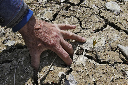 В Киеве «отменили» засуху в Крыму