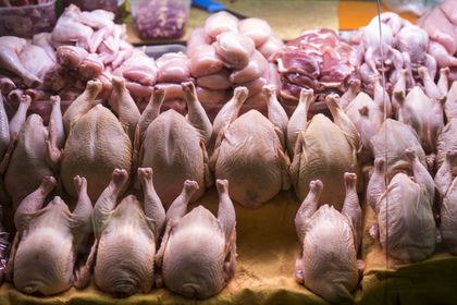 Выпуск куриного мяса «Петелинки» потребовали остановить из-за бактерий